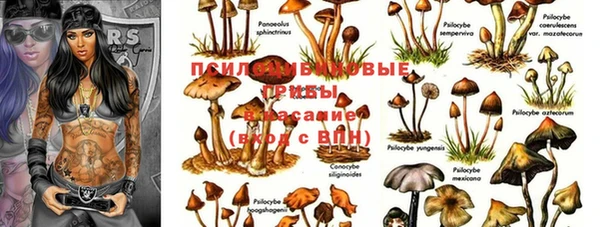 ешки Бородино