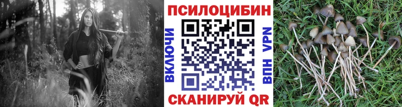 Псилоцибиновые грибы Magic Shrooms  Купить где  Дудинка 